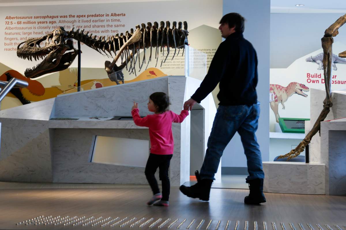 Visitors explore the new Learning Lounge at the Royal Tyrrell Museum of Palaeontology in Drumheller, Alta., Thursday, Jan. 16, 2020.