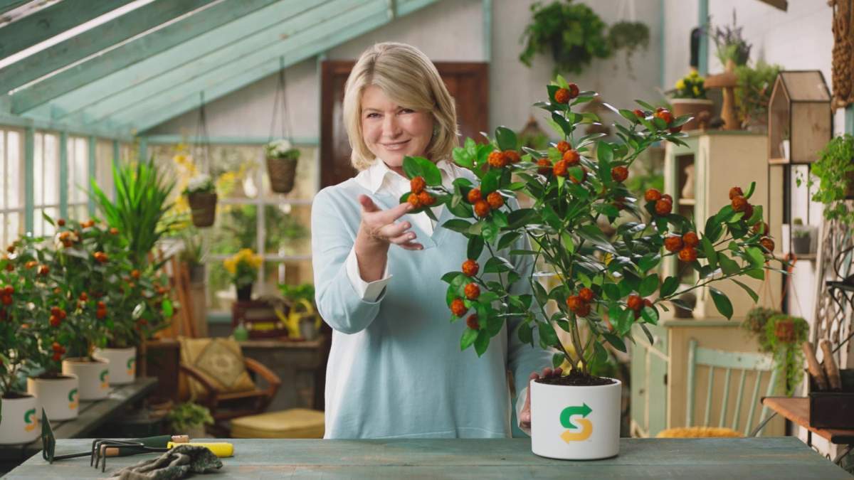 Martha Stewart on set of the Subway Beyond Meatball commercial.