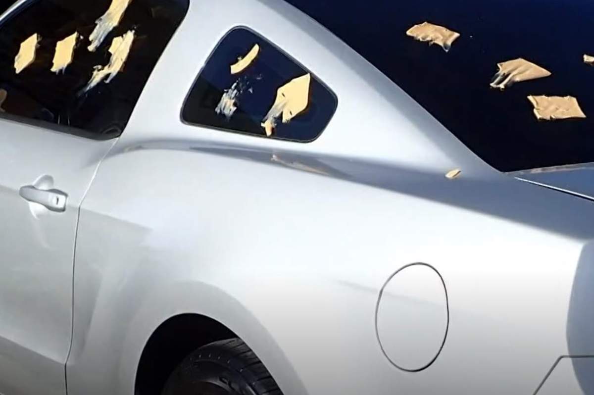 A car is shown with several cheese slices stuck on it in Carrollton, Texas.
