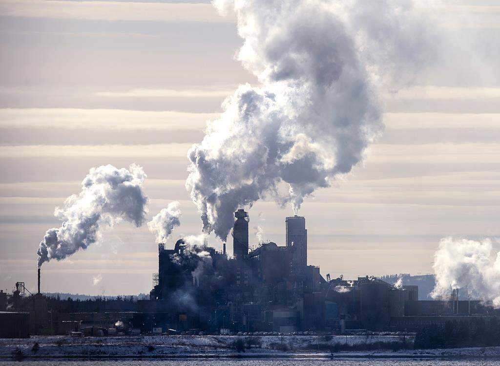 The Northern Pulp mill in Abercrombie Point, N.S., is viewed from Pictou, N.S., Friday, Dec. 13, 2019. The Nova Scotia government has scheduled a series of open houses to help those facing job losses because of the pending closure of a kraft pulp mill near Pictou.