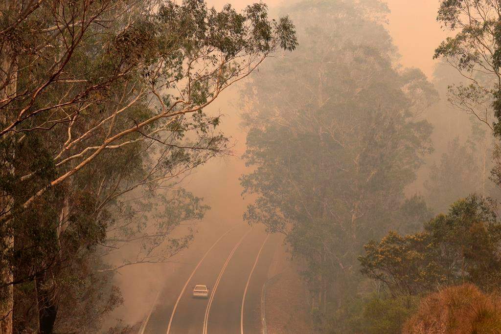 Smoke from wildfires shrouds a road near Moruya, Australia, Saturday, Jan. 4, 2020.  