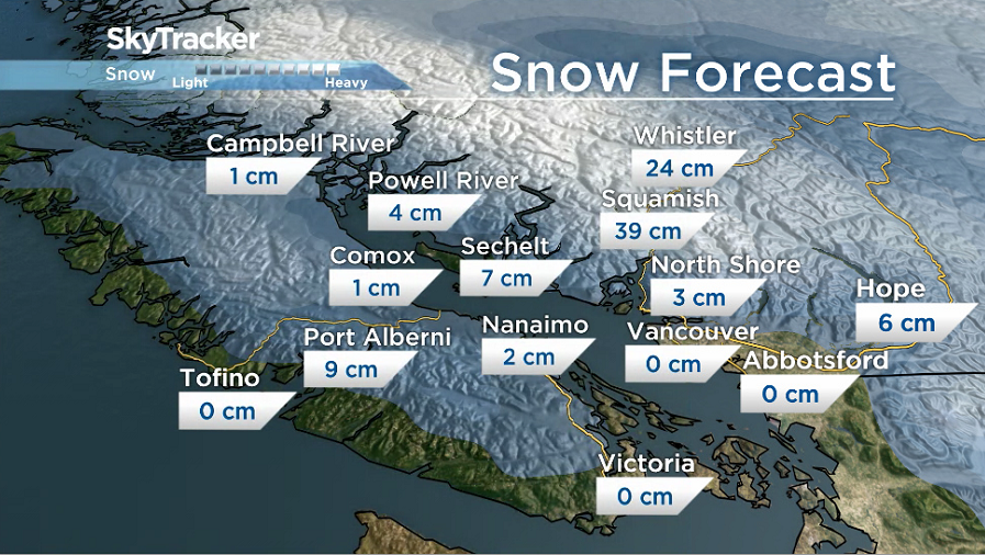 Potential snowfall for Thursday, January 2, 2020.