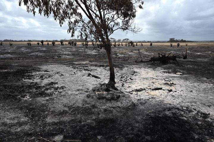 This photo, taken on Jan. 16, 2020, shows a burnt-out part of local farmer Rick Morris’ 2,300-acre property on Kangaroo Island after bushfires ravaged the island off of the south coast of Australia.