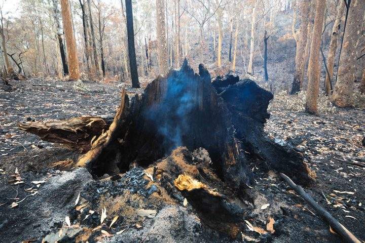A photo taken on Jan. 18, 2020 shows a bushfire area about a one-hour drive from Canberra, Australia.