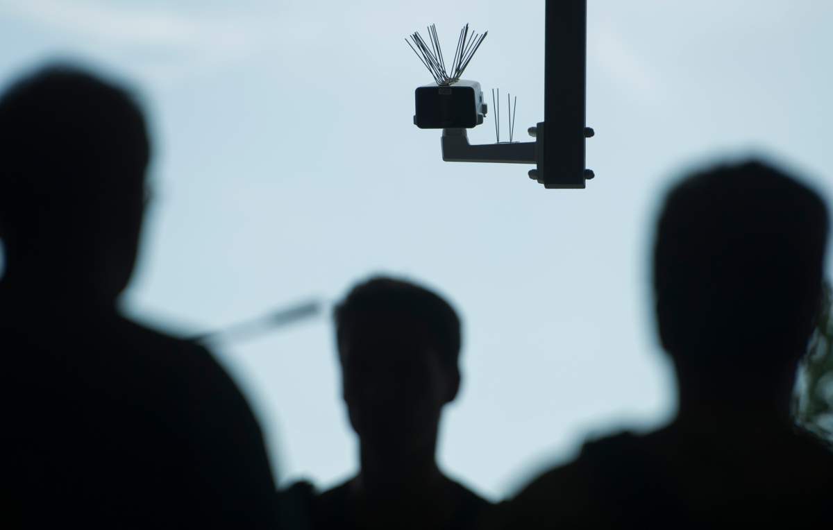 Ontario watchdog would be ‘very concerned’ about police using tools like Clearview AI - image