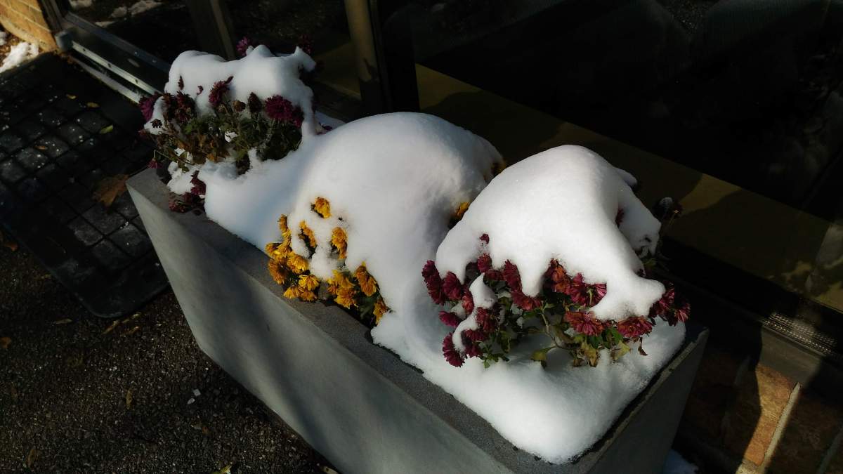 Environment Canada says Hamilton and the surrounding area could experience ice accumulation in light of a potential weekend storm.