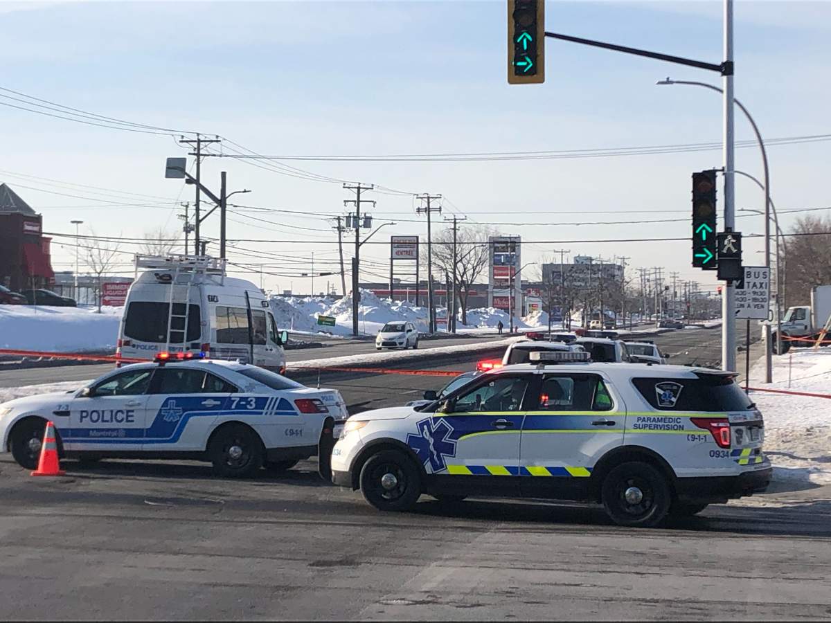 The pedestrian was struck early Friday morning.