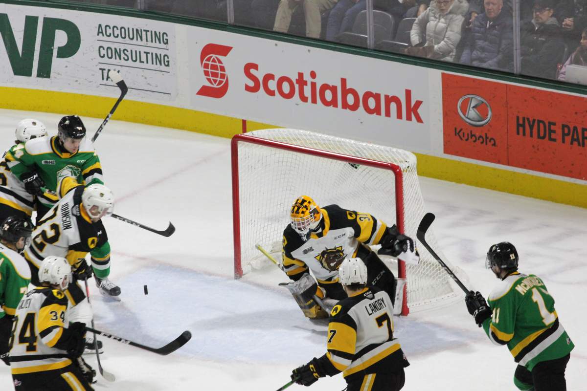 London Knights knock off Hamilton Bulldogs for 10th win in 11 games - image