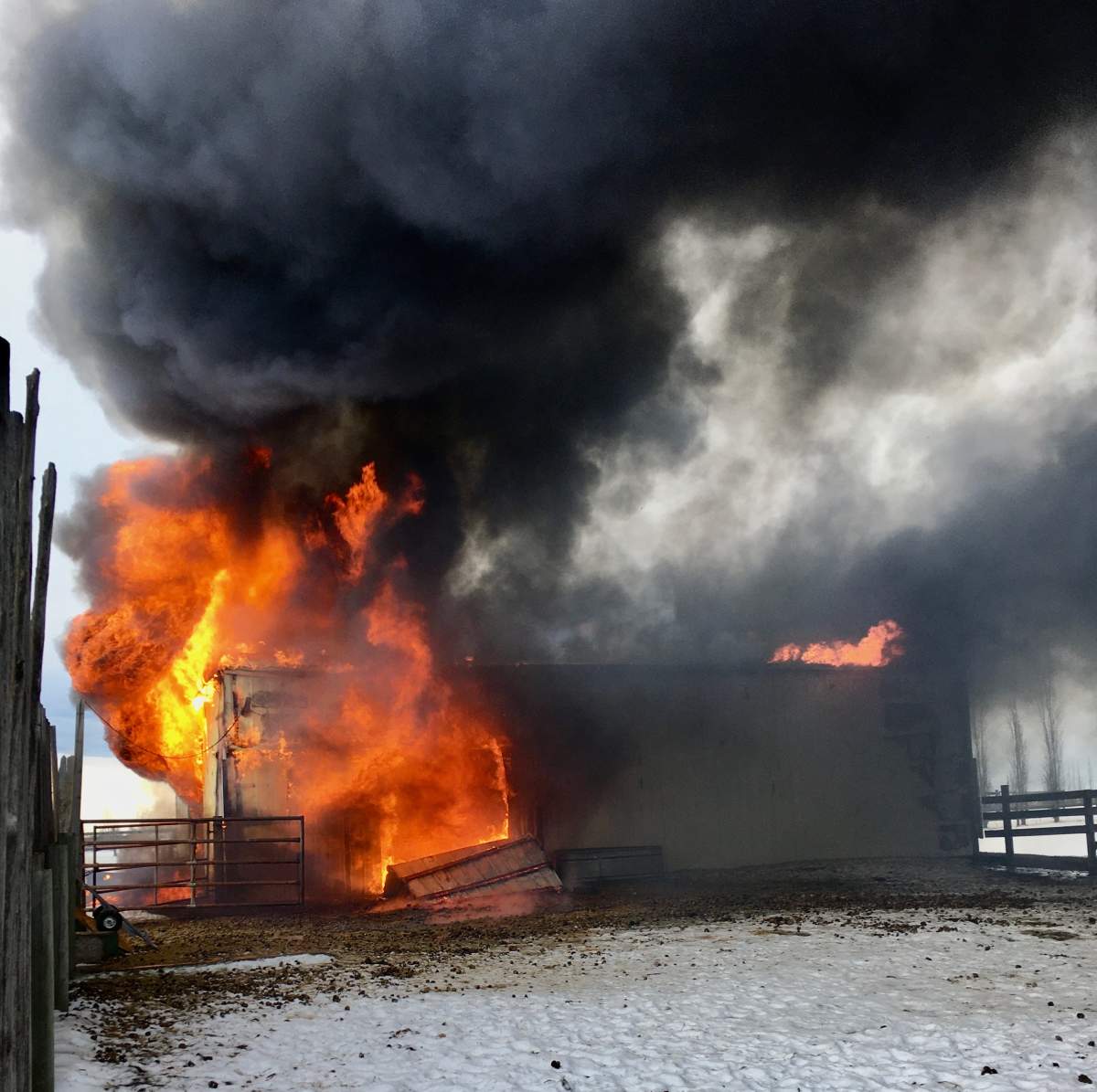Fire tears through barn.