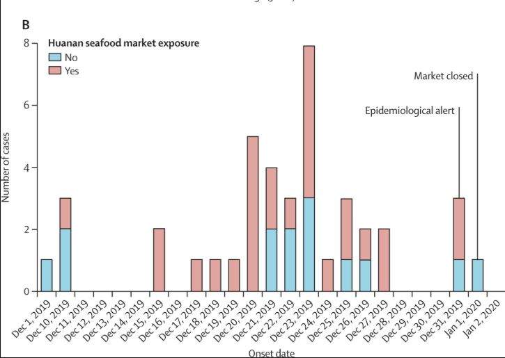 (The Lancet)