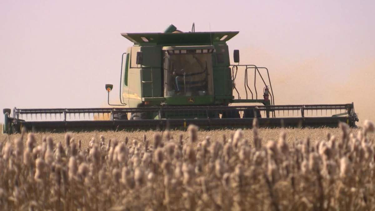 Some Saskatchewan farmers are anticipating a start to the harvest of winter cereals and earlier seeded crops in the coming weeks.