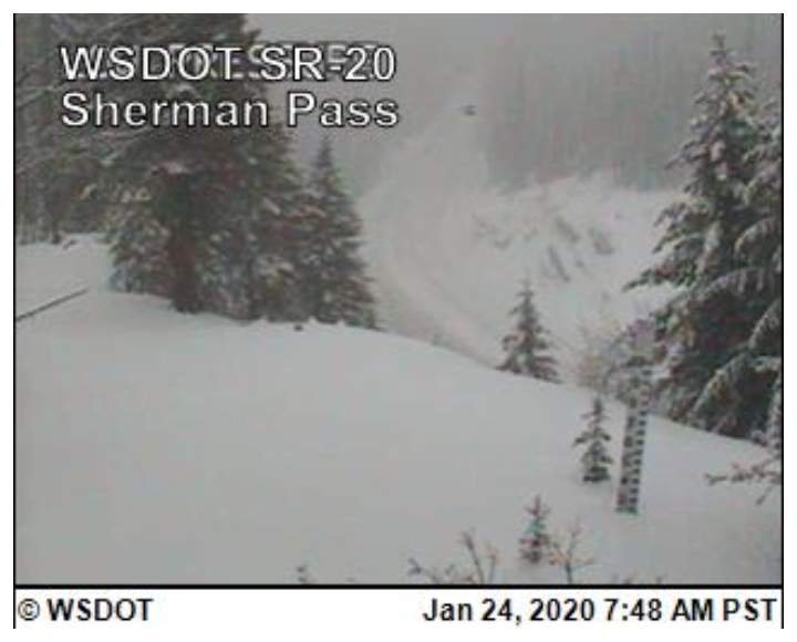 This time-stamped photo shows a shape that some claim is Bigfoot on Jan. 24, 2020, at 7:48 a.m. in Washington state.