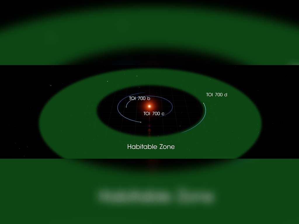 TOI 700 d is one of three planets discovered orbiting a star 100 light-years away. According to NASA, it may even be habitable.