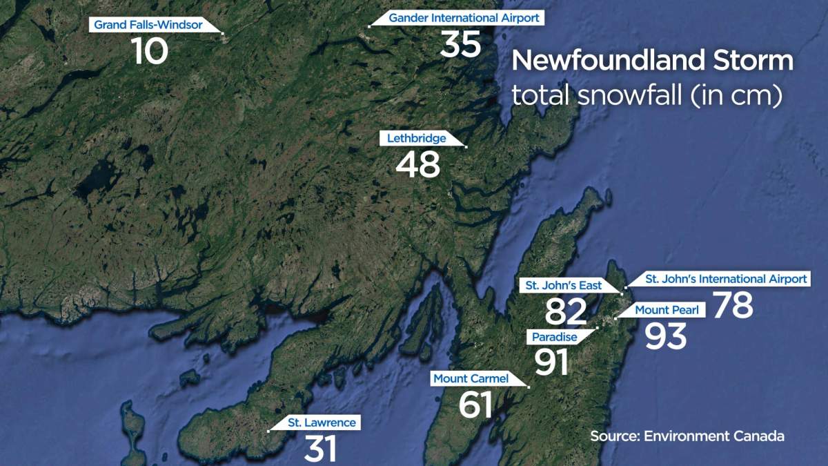 Highest snowfall observed in N.L. storm was 93 cm: Environment Canada - image
