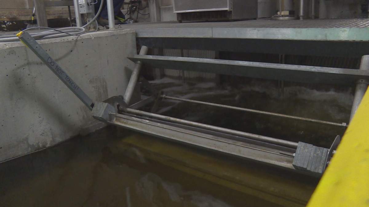 Vernon plants to discharge the treated water that comes out of its sewage treatment plant into Okanagan Lake.