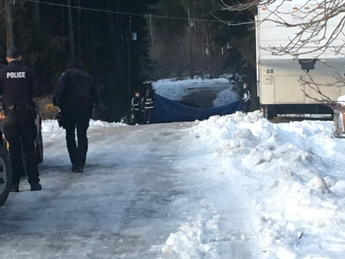The police watchdog and BC Coroners Service are at the scene of an RCMP-involved shooting in Tappen, B.C.