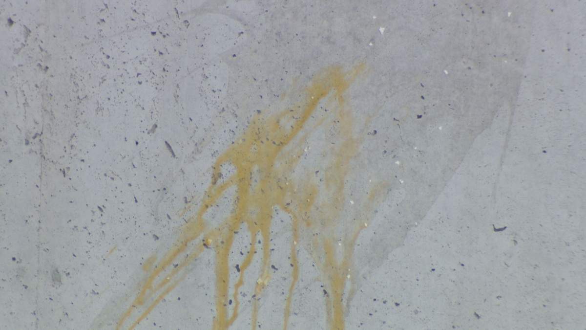 Ottawa police say the National Holocaust Monument in downtown Ottawa was defaced on Wednesday and the case is being investigated as a “hate-motivated incident.” Egg smears were seen on the memorial on Thursday morning.