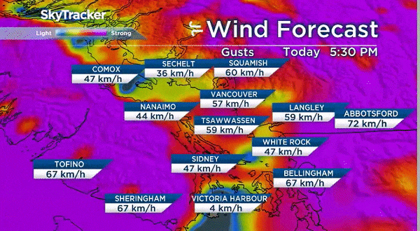 Atmospheric river brings heavy rain, wind, flooding to B.C.’s south coast - image