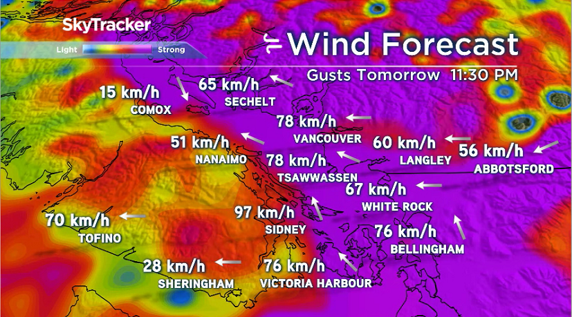 More snow expected for B.C.’s South Coast Tuesday night - image