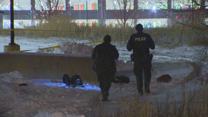 Police searching the area after a woman was stabbed near York University.