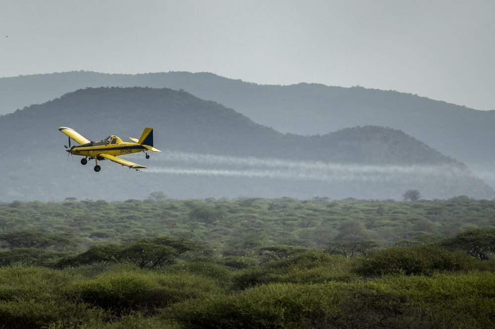 In this photo taken Saturday, Feb. 1, 2020, a plane spraying pesticides flies over a swarm of desert locusts in Nasuulu Conservancy, northern Kenya. As locusts by the billions descend on parts of Kenya in the worst outbreak in 70 years, small planes are flying low over affected areas to spray pesticides in what experts call the only effective control.