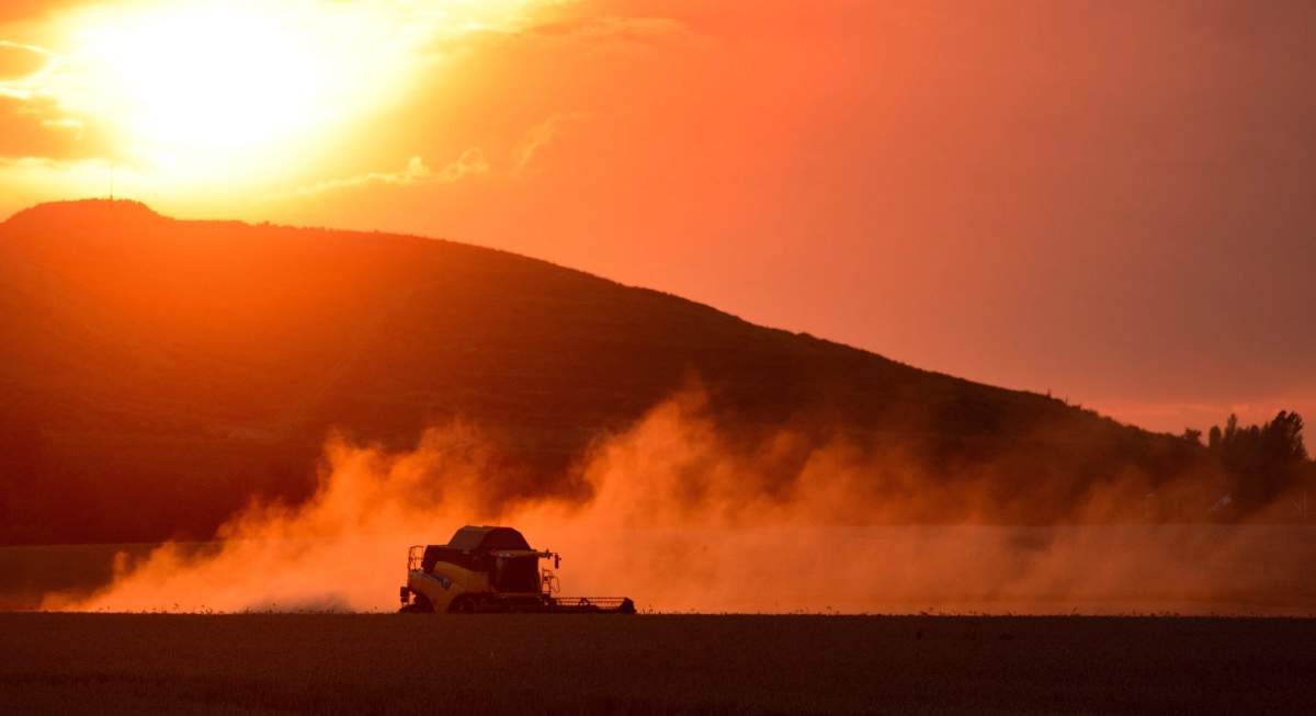 Manitoba's harvest numbers show over 60 per cent of completion, with one expert saying the province is in a good shape.
