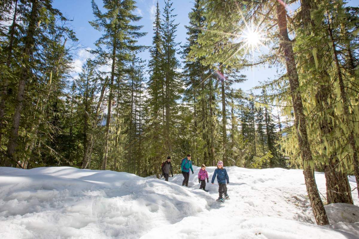 Plenty of Family Day activities in Peterborough and surrounding area.