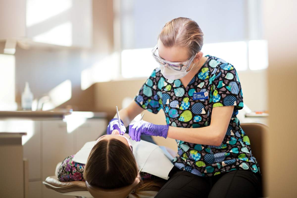 Dentist performing regular check up.