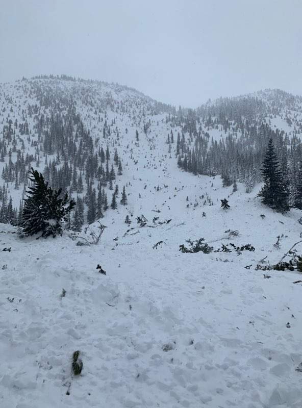 Another backcountry user witnessed the slides that swept Sam Johnson away and took this picture.