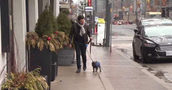 Toronto’s affordability crisis: How residents are being forced out of the city they love - image