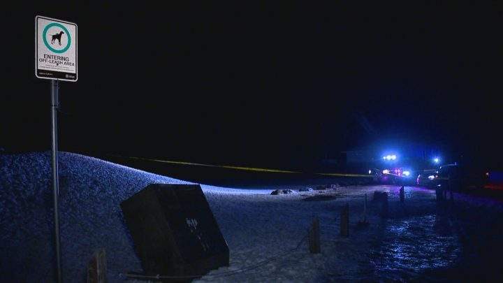 A teen boy was injured in a Calgary stabbing on Saturday, Feb. 15, 2020.