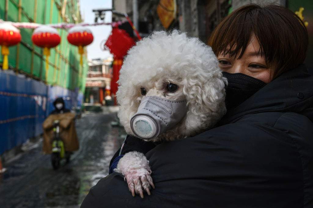 A Chinese woman holds her dog that is wearing a protective mask as well as they stand in the street on Feb. 7, 2020 in Beijing, China.