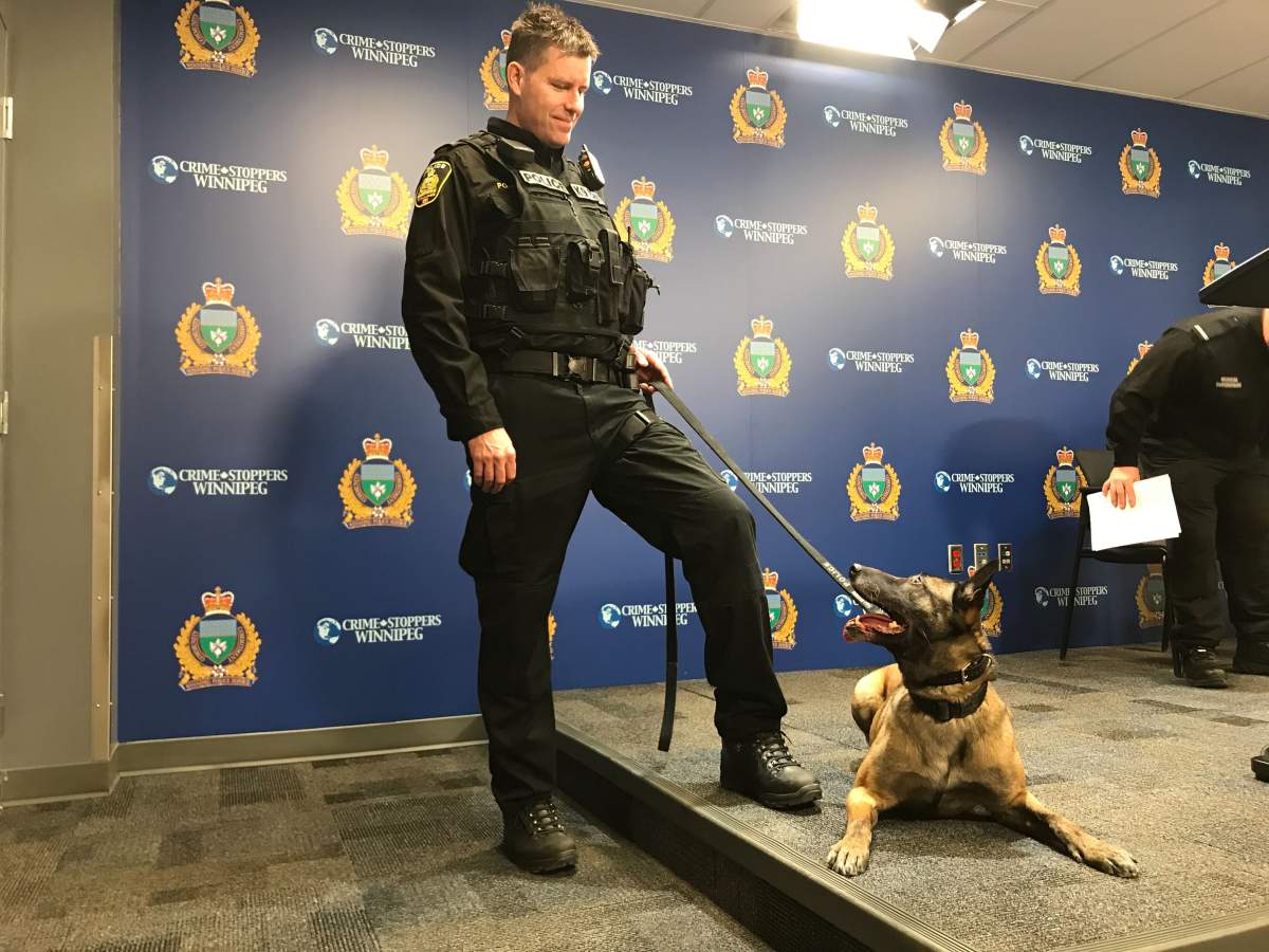 A Winnipeg police dog and her handler at Friday\’s press conference.