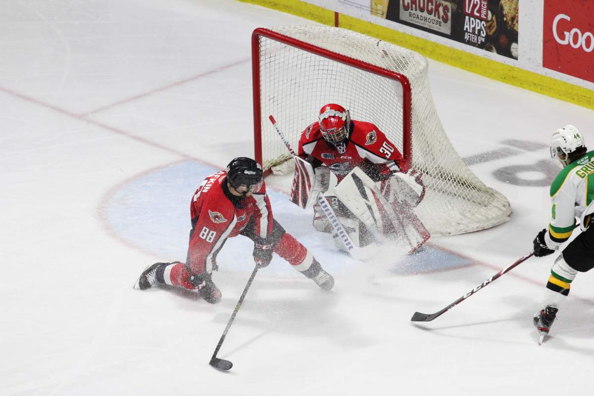 London Knights clinch playoff spot for 20th straight year - image