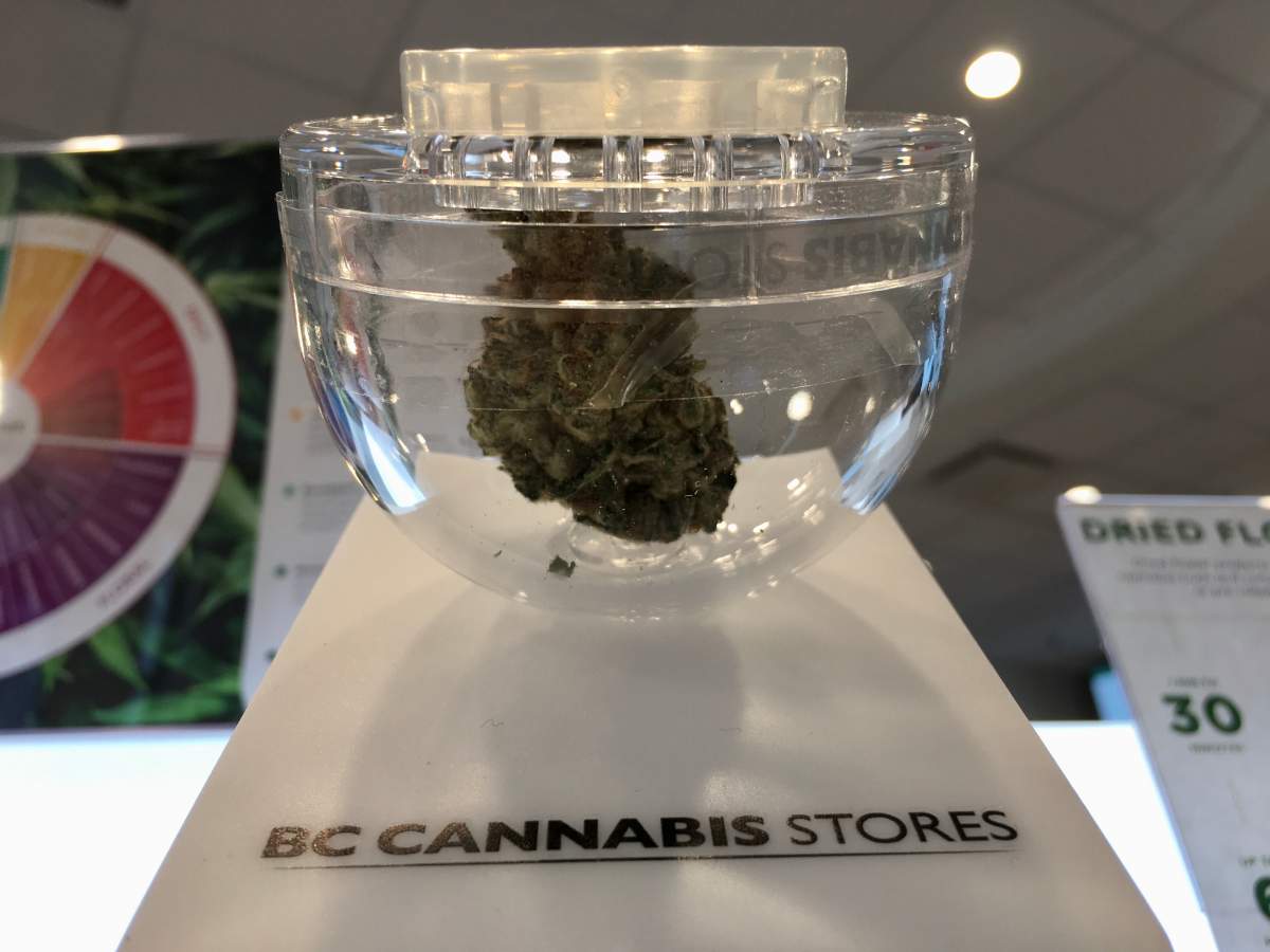 Cannabis on display at the BC Cannabis Store in Penticton.
