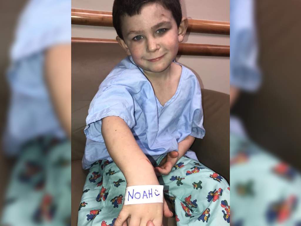 Noah Woods, 5, saved his little sister and family dog after a fire broke out in his bedroom.