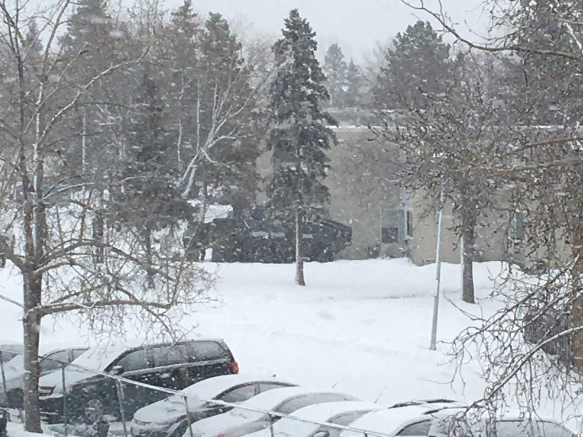 Bystander hit by bullet during standoff in southeast Edmonton: police - image