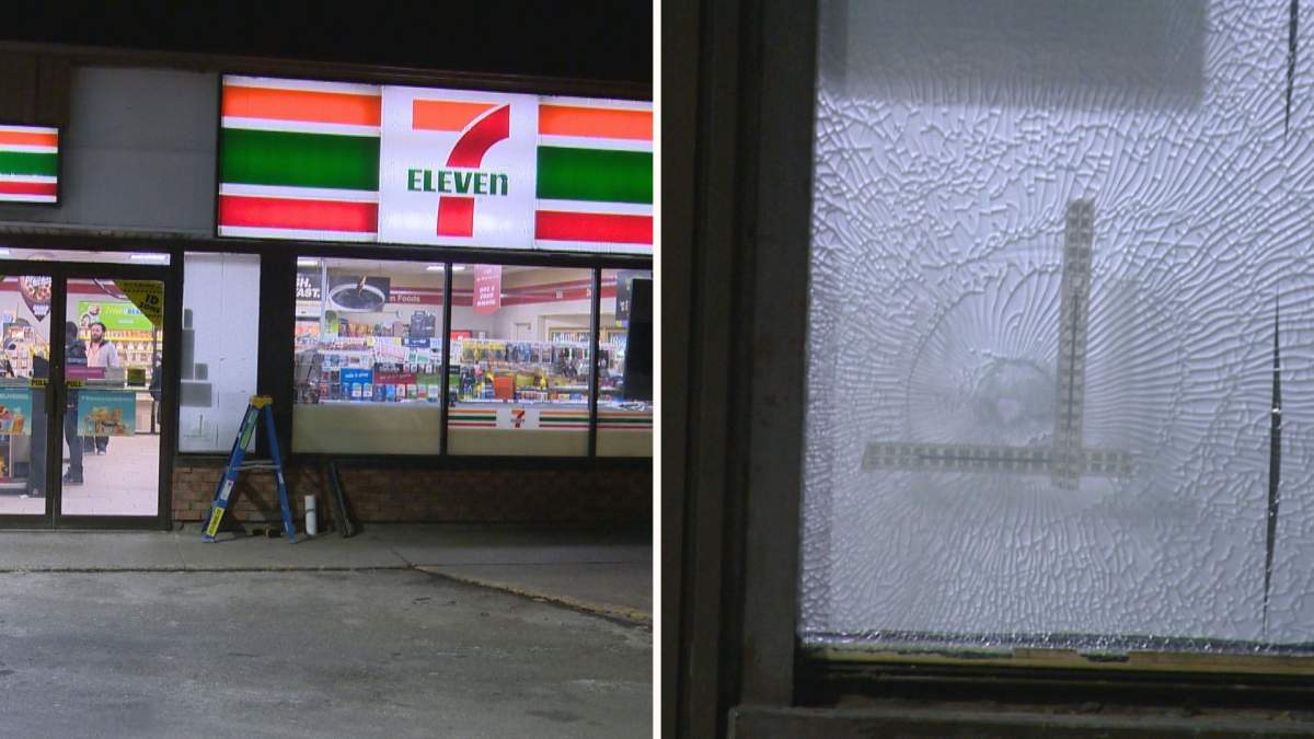 Calgary police are investigating after shots were fired in the city's southeast.