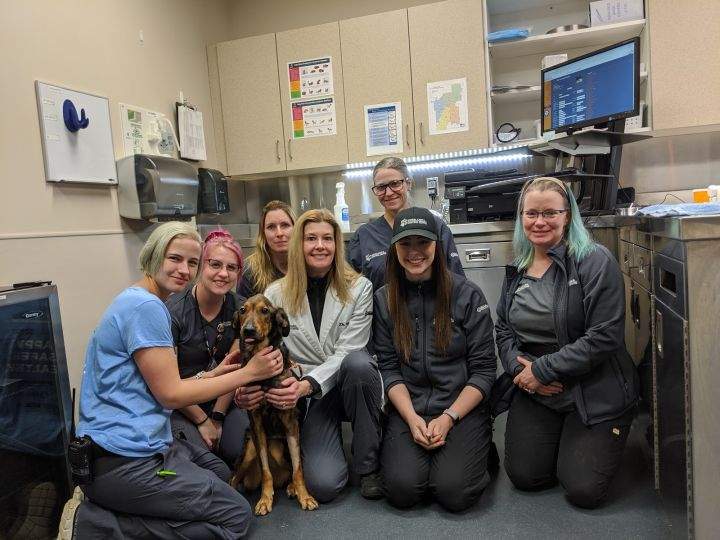 Terra and her dedicated team of caregivers. From left to right: Amy Buijze, Jessica Stern, Christina Pederson, Dr. Christine Hitesman, Karen Melnyk, Shea MacCallum and Sherri Tobert. Missing from photo: Janice Rossetti, Cindy Liddle and Dr. Karen Lange