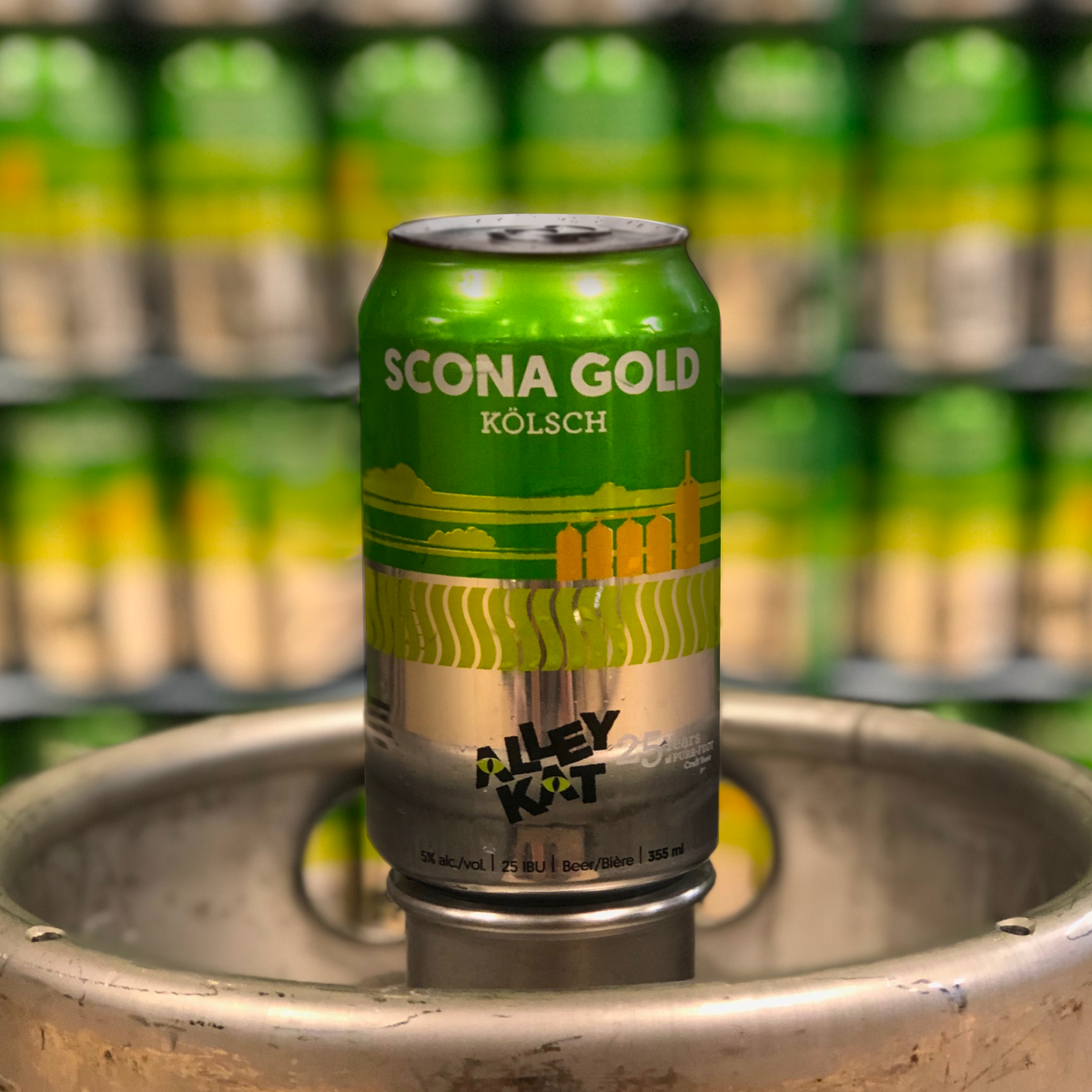 Alley Kat Brewing’s new cans of Scona Gold Kolsch.