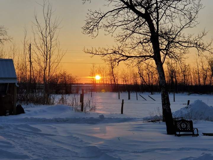The 10th Saskatchewanderer is name the 1st Sofa-wanderer and finds new ways to wander from home amid COVID-19 restrictions.