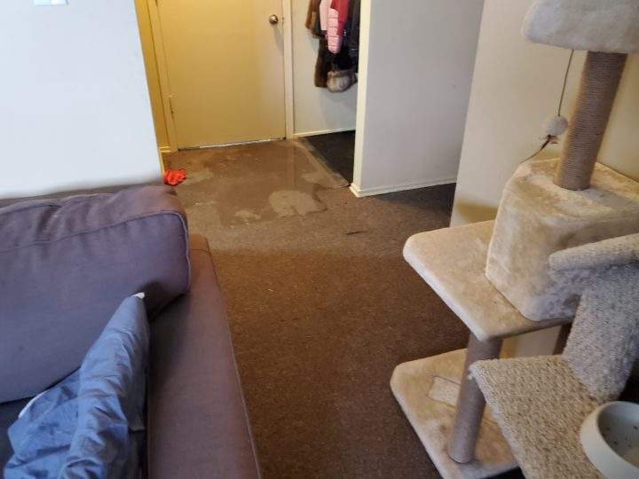 Krystal Prior said it will be at least two months before the apartment will be ready after the flood.