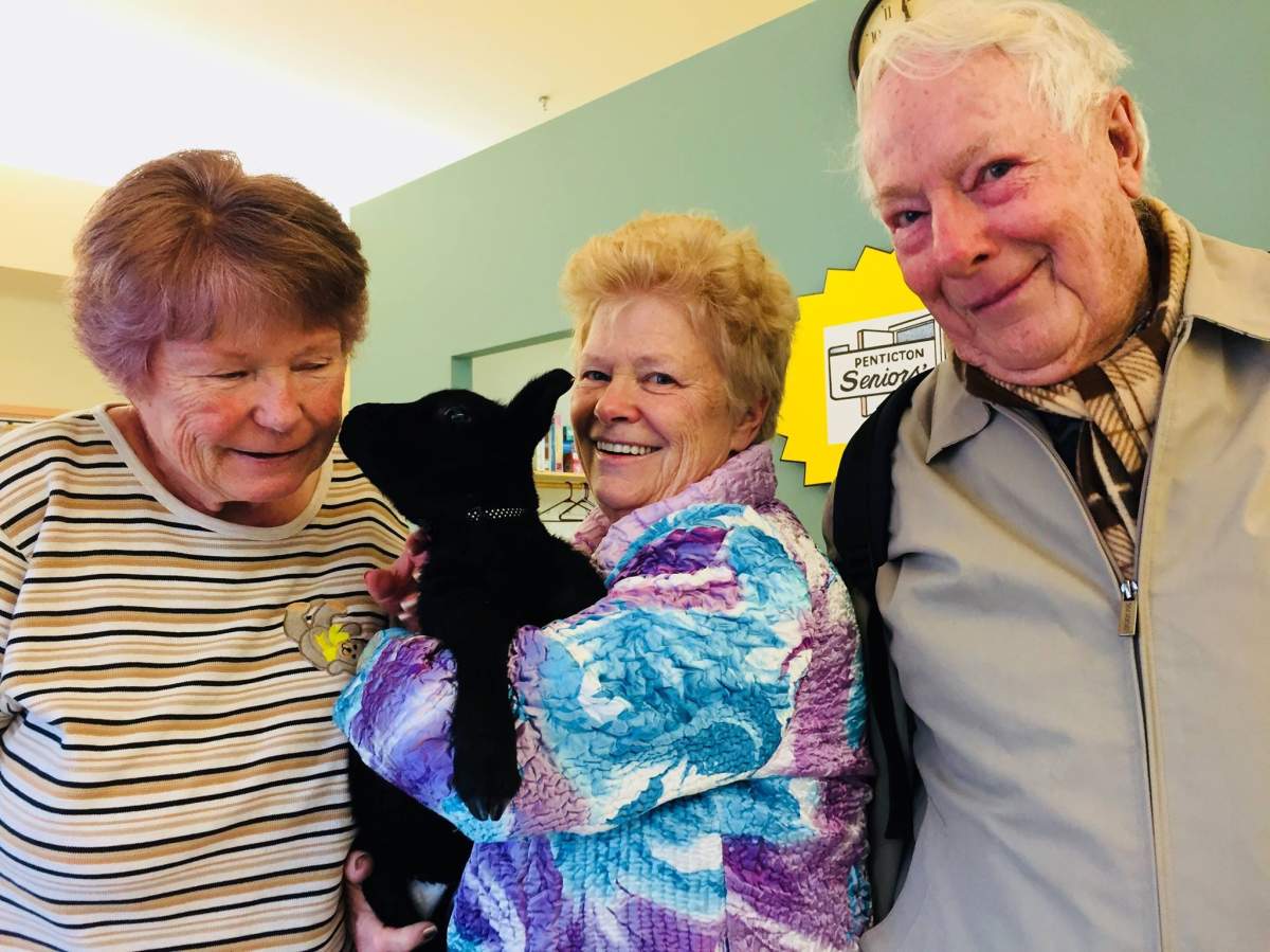The Penticton Seniors Drop-In Centre is closed until further notice.