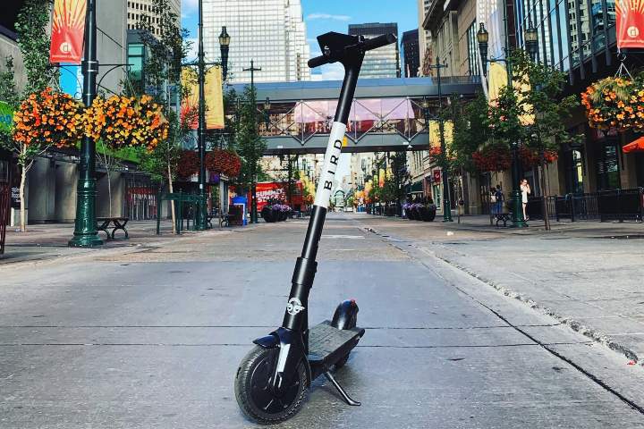 Bird Canada returned to Calgary in spring 2020. 