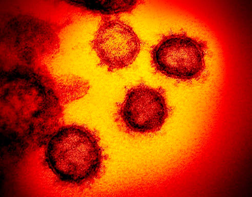 The Jewish General Hospital said in a statement the man was transferred to its care on Wednesday night. It is one of four hospitals in the province designated to deal with the coronavirus.