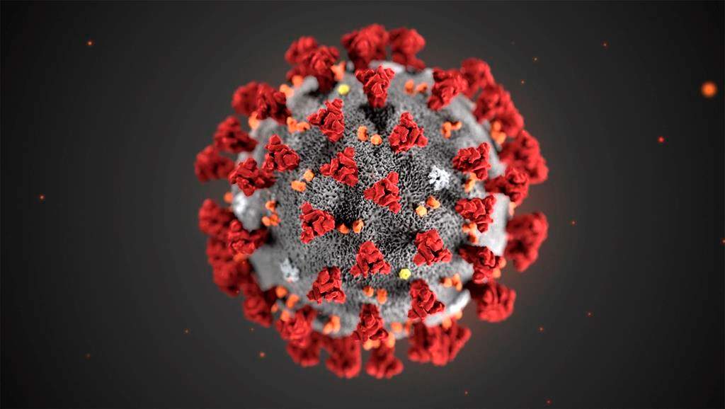 FILE - In this illustration provided by the Centers for Disease Control and Prevention (CDC) in January 2020 shows the 2019 Novel Coronavirus (2019-nCoV).