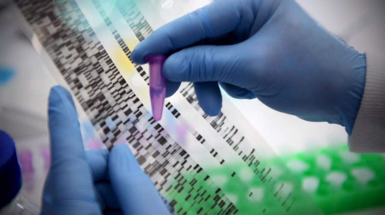 DNA screening.