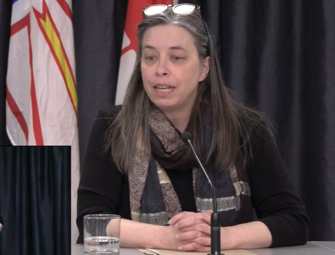 Dr. Janice Fitzgerald, Newfounland and Labrador’s chief medical officer of health, addresses media on COVID-19 on March 21, 2020.