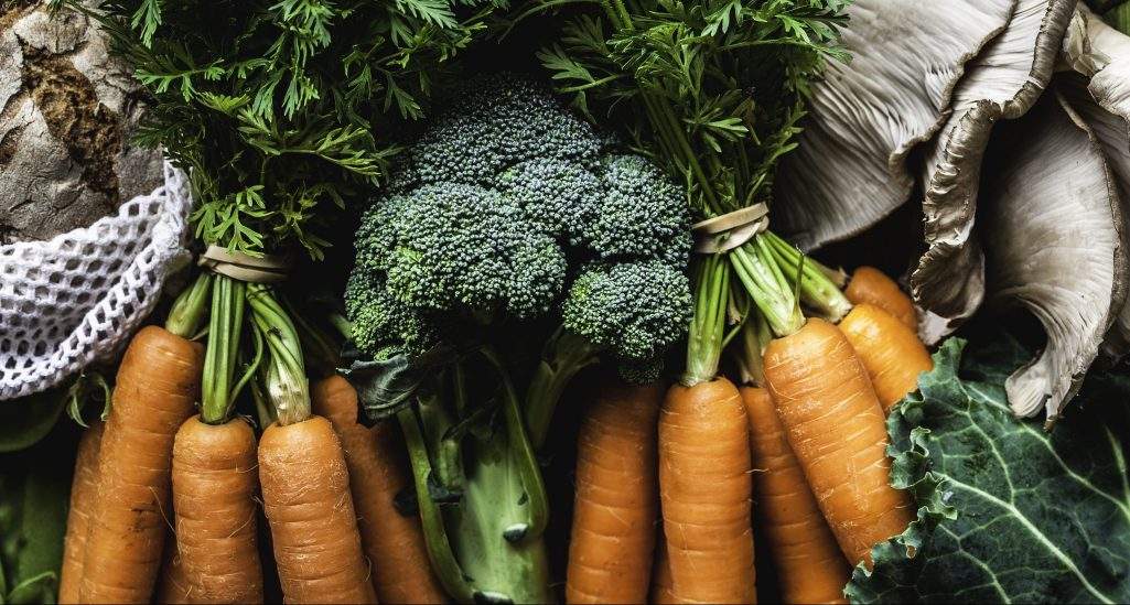 What you can do now to prepare for gardening season. 