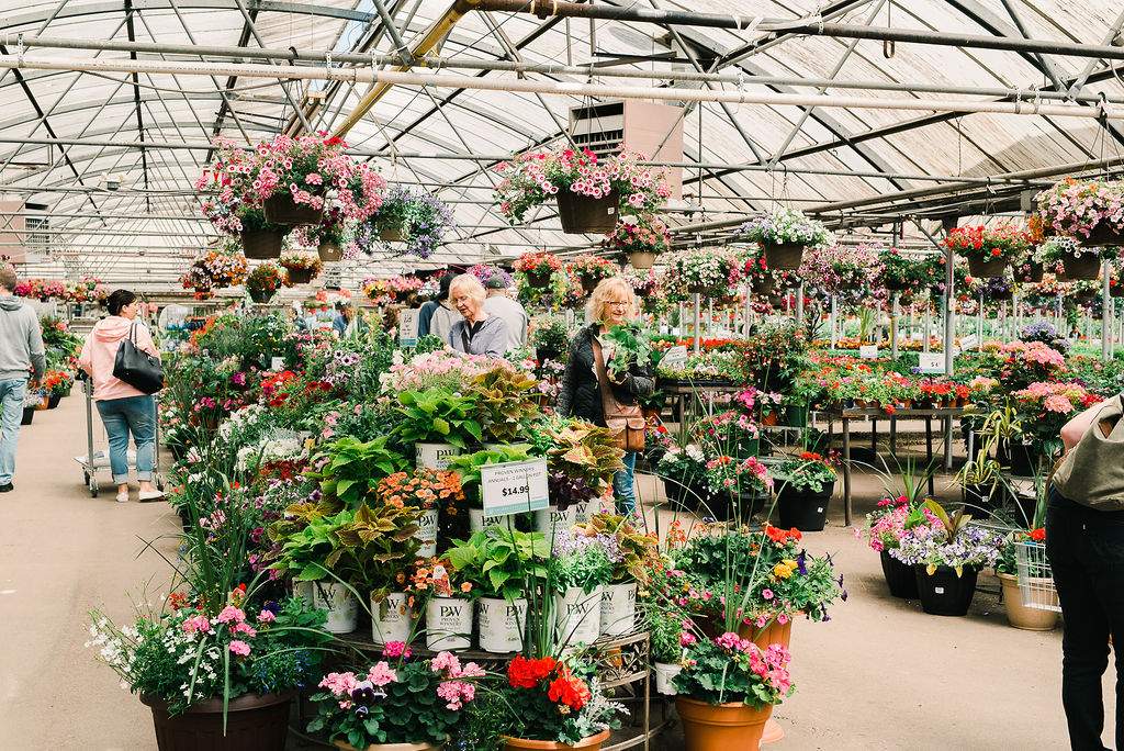 Shoppers at Golden Acre Home and Garden.